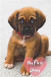 My First Diary
