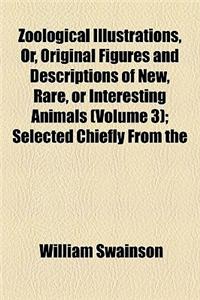 Zoological Illustrations, Or, Original Figures and Descriptions of New, Rare, or Interesting Animals (Volume 3); Selected Chiefly from the