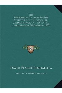 The Anatomical Changes In The Structure Of The Vascular Cylinder Incident To To The Hybridization Of Catalpa (1905)