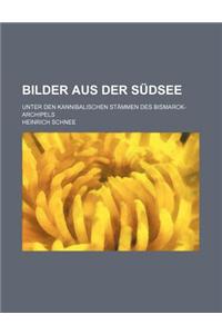 Bilder Aus Der Sudsee; Unter Den Kannibalischen Stammen Des Bismarck-Archipels