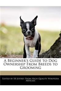 A Beginner's Guide to Dog Ownership from Breeds to Grooming