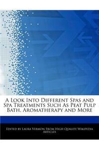 A Look Into Different Spas and Spa Treatments Such as Peat Pulp Bath, Aromatherapy and More