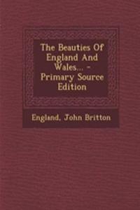 The Beauties of England and Wales... - Primary Source Edition