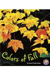 Colors of Fall