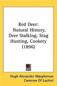 Red Deer