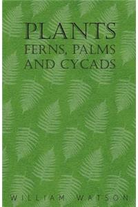 Plants - Ferns, Palms and Cycads