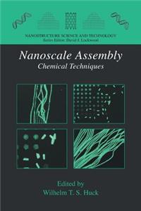 Nanoscale Assembly