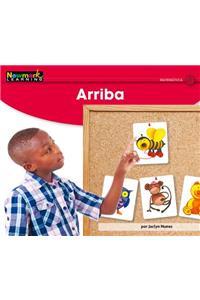 Arriba Leveled Text