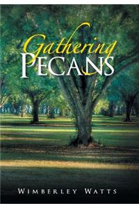 Gathering Pecans