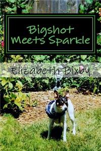 Bigshot Meets Sparkle