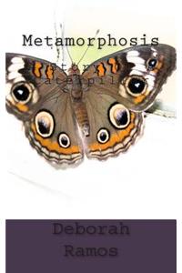 Metamorphosis - A Story Of A Caterpillar