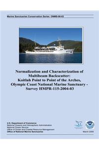 Normalization and Characterization of Multibeam Backscatter