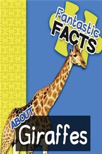 Fantastic Facts about Giraffes