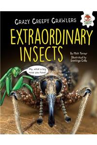 Extraordinary Insects