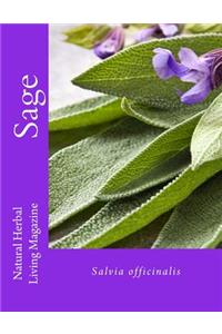 Sage - Salvia spp.