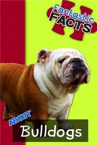Fantastic Facts about Bulldogs