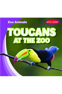 Toucans at the Zoo