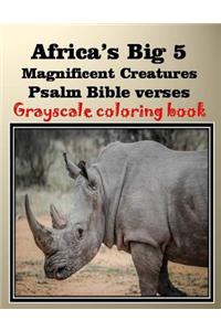 Africa's Big 5 Magnificent Creatures Psalm Bible verses