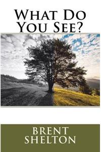 What Do You See?