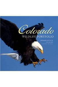 Colorado Wildlife Portfolio