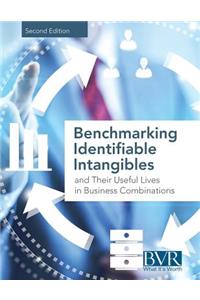 Benchmarking Identifiable Intangibles and Their Useful Lives in Business Combinations, Second Edition