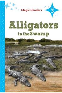 Alligators in the Swamp: Level 3