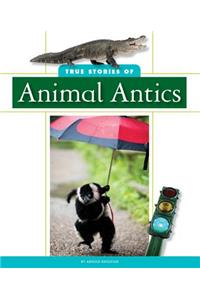 True Stories of Animal Antics