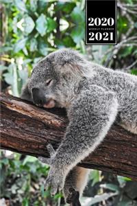 Koala Bear Rainforest Week Planner Weekly Organizer Calendar 2020 / 2021 - Hanging