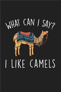 What Can I Say I Like Camels