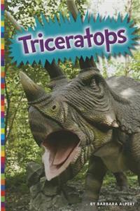 Triceratops