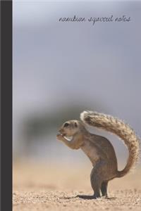 namibian squirrel notes