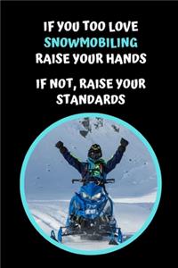 If You Too Love Snowmobiling Raise Your Hands.. If Not, Raise Your Standards
