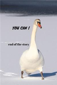 You can ! - End of the story