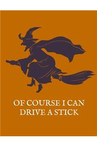 Of Course I Can Drive a Stick