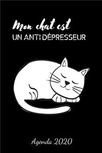 Mon chat est un antidépresseur