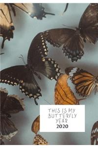This Is My Butterfly Year
