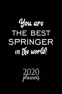 You Are The Best Springer In The World! 2020 Planner