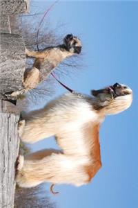 Afghan Hound and a Border Terrier Journal