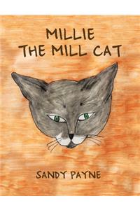 Millie the Mill Cat