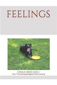Feelings