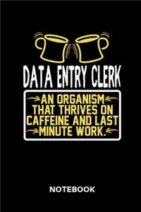 Data Entry Clerk - Notebook