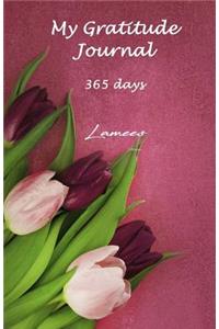 My Gratitude Journal 365 days