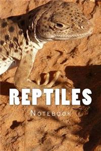 Reptiles