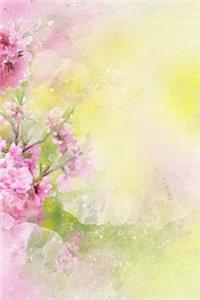 Nature Notebook