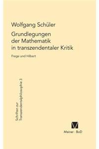 Grundlegungen der Mathematik in transzendentaler Kritik