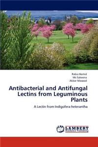 Antibacterial and Antifungal Lectins from Leguminous Plants