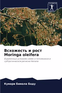 Всхожесть и рост Moringa oleifera