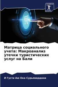 Матрица социального учета