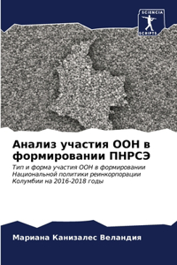 Анализ участия ООН в формировании ПНРСЭ