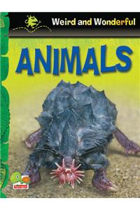 Weird and Wonderful: Animals